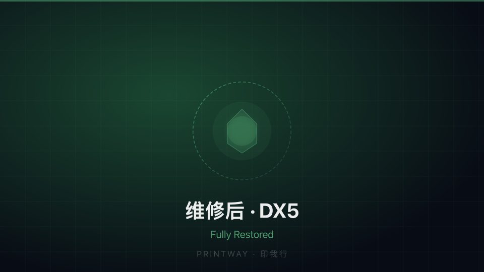 Epson DX5 after — nozzles fully restored