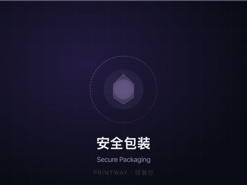 Professional shock-proof packaging